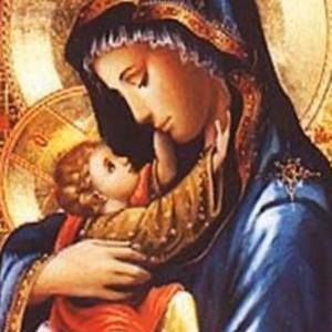 Meet your Posher, Sandy